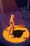 Preorder By 06/15 ~ BARBARA GORDON BREAKOUT #3 CVR C CHRIS WILDGOOSE CARD STOCK VAR