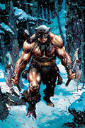 Preorder By 06/08 ~ FIRE AND ICE DARKWOLF #1 CVR H DAN PANOSIAN METAL PREMIUM VAR