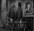 Preorder By 06/08 ~ DARK SHADOWS NOIR HC CLASSIC B&W PHOTOGRAPHY