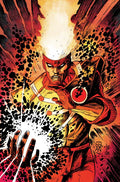Preorder By 07/20 ~ FURY OF FIRESTORM #5 (OF 8) CVR B DENYS COWAN & JEFF LEMIRE CARD STOCK VAR