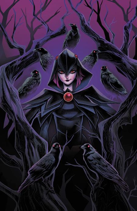 Dcs Quoth The Raven Whatever #1 (One Shot) CVR A Sweeney Boo