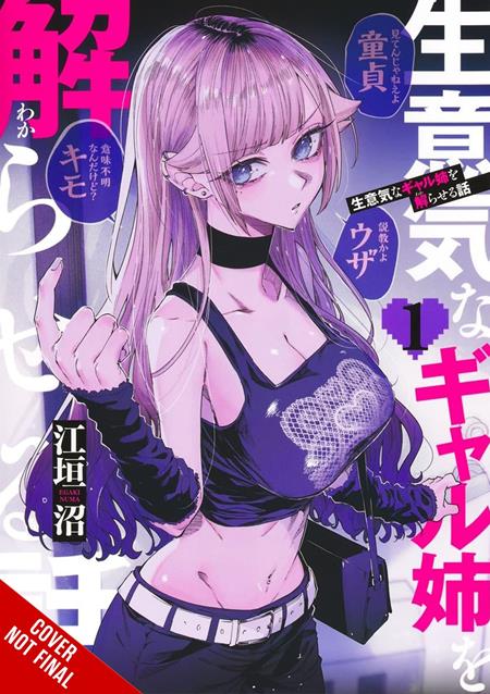 How To Handle My Sassy Big Sis TP Vol 01 (MR)