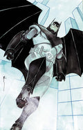 Batman #14 Cover H Dustin Nguyen Kingdom Come 30Th Anniversary Card Stock Variant (Batman Bad Seeds)