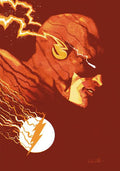Flash #38 Cover C Raul Allen Card Stock Variant