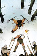 Fire And Ice Darkwolf #4 Cover H Inc 1:10 Cary Nord Virgin Variant