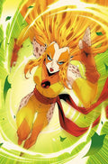 Thundercats Cheetara #2 Cover J Inc 1:15 Godtail Virgin Variant