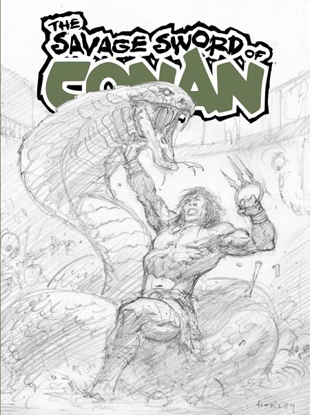 Savage Sword Of Conan #15 Sdcc Exclusive Alex Horley Cardstock Inks Variant (Mr)