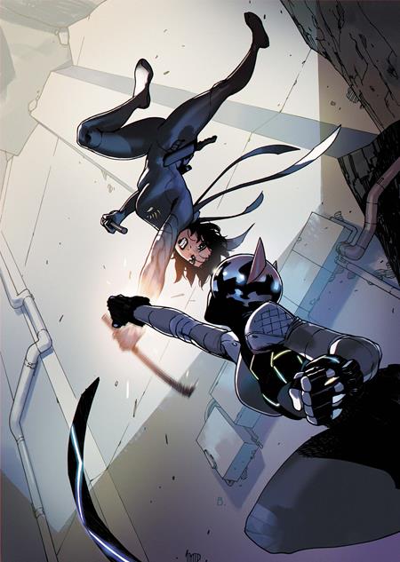 Absolute Catwoman #5 (Of 6) Cover A Bengal