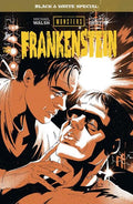 Universal Monsters Frankenstein B&W Special #2 (Of 2) Cover B Al Kaplan Variant