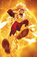 Fury Of Firestorm #9 (Of 9) Cover B Mitch Gerads Card Stock Variant