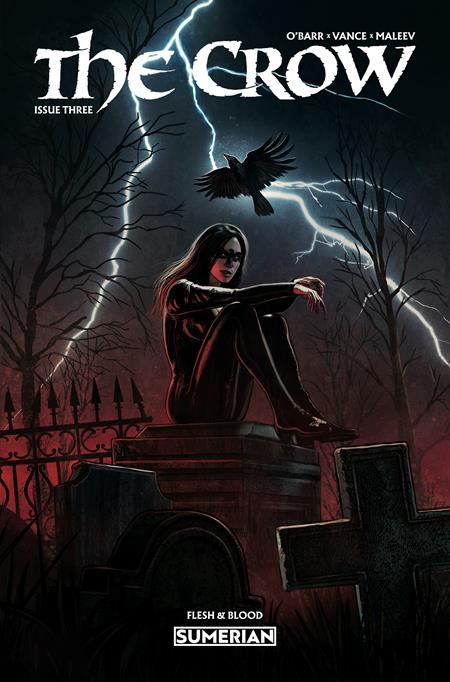 Crow Flesh And Blood #3 Cover A Eduardo Schaal (Mr)