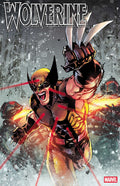 Preorder By 06/22 ~ WOLVERINE #24 ADAM GORHAM VARIANT