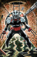 Preorder By 06/08 ~ Teenage Mutant Ninja Turtles: Shredder #10 Variant RI (25) (Hanna Full Art)