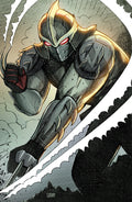 Teenage Mutant Ninja Turtles: Shredder #15 Variant RI (10) (Szerdy Full Art)