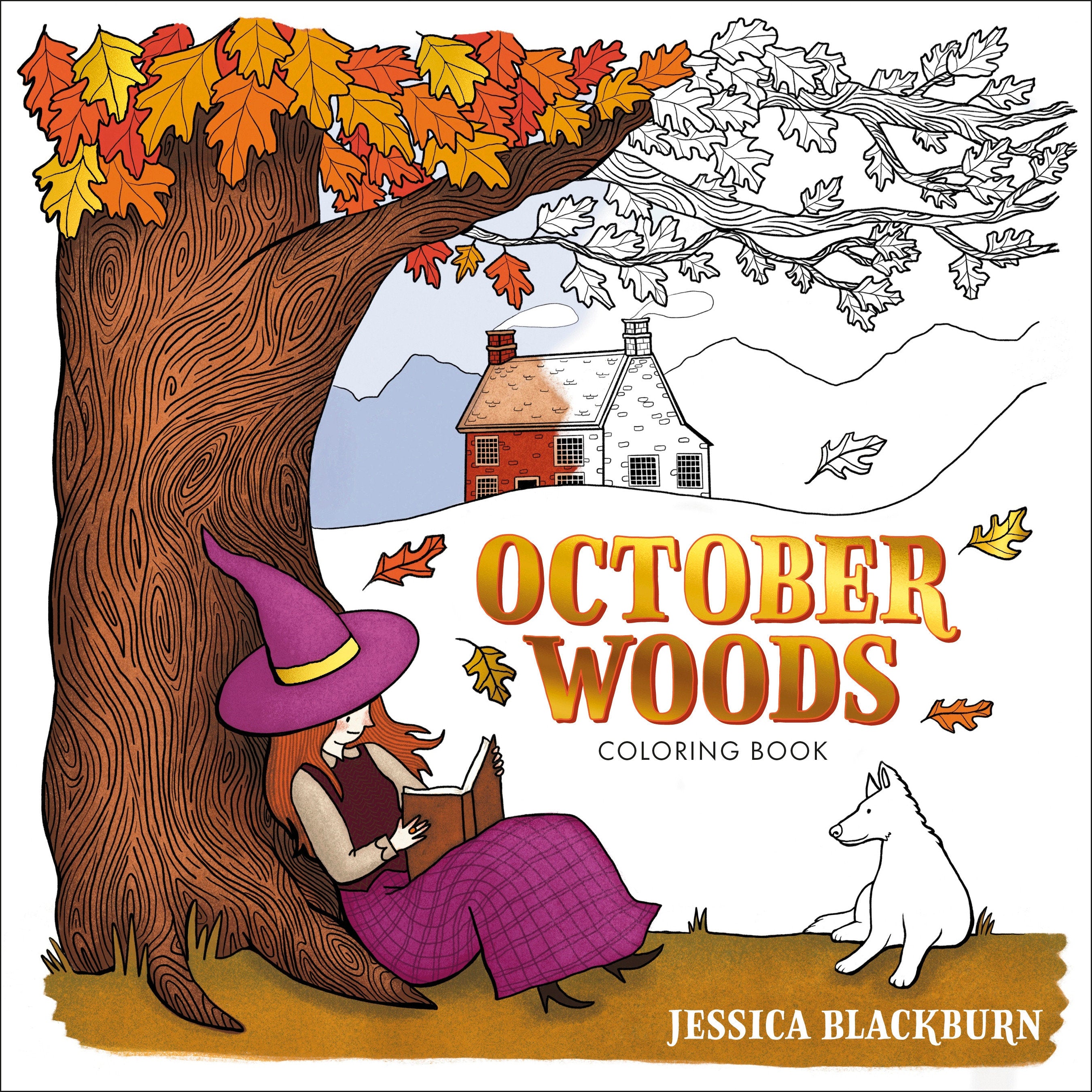 Preorder By 06/22 ~ October Woods Coloring Book