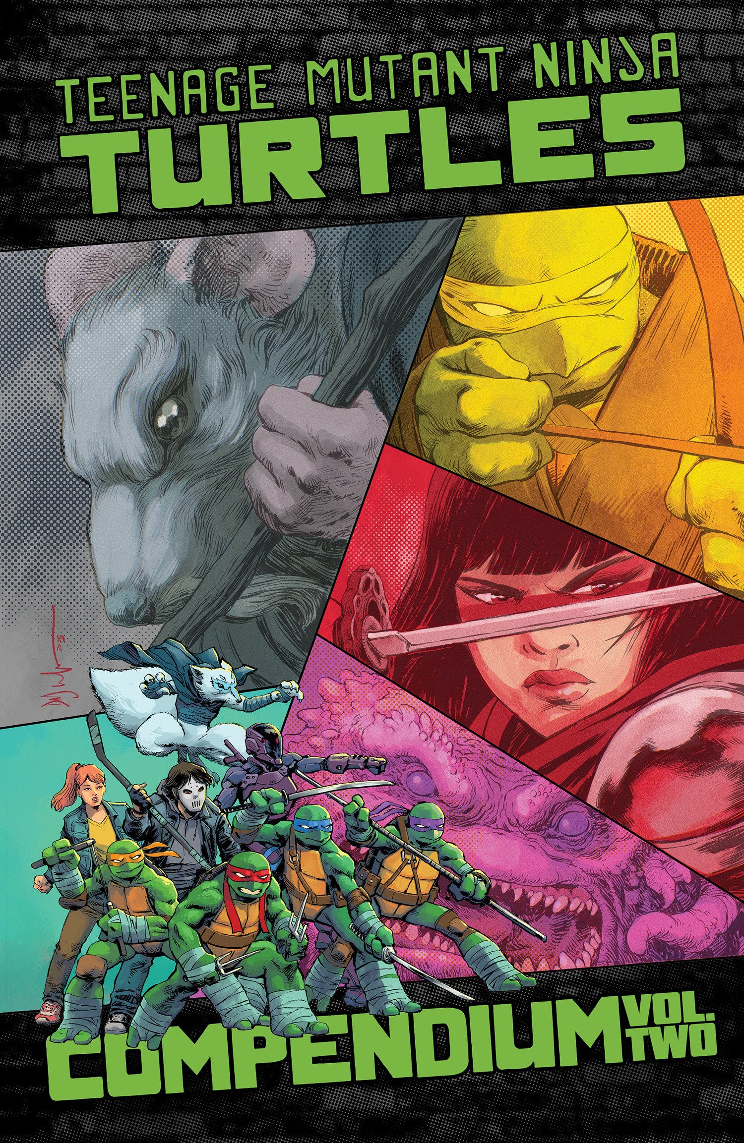 Preorder By 06/08 ~ Teenage Mutant Ninja Turtles: Ongoing Compendium, Vol. 2