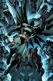 ALL STAR BATMAN & ROBIN THE BOY WONDER HC