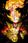 FURY OF FIRESTORM #2 (OF 6) CVR C RILEY ROSSMO CARD STOCK VAR ~ IN SHOP NOW!!